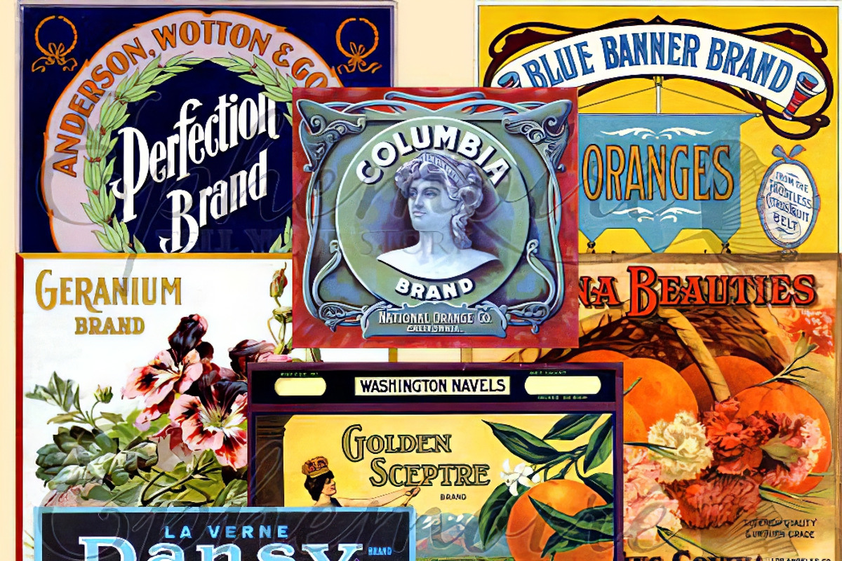 Vintage Fruit Crate Labels - 8 PNGS, an Object Graphic by ephemoire