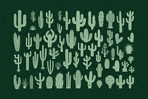 Cactus Kit