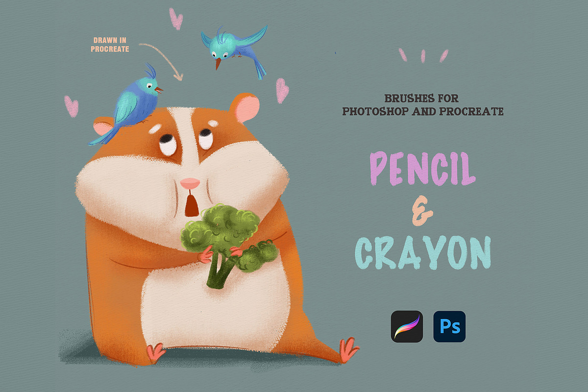 Pencil & Crayon Procreate Photoshop, a Brush Add-On by Spark Studio Brushes (Photo 2 of 7)