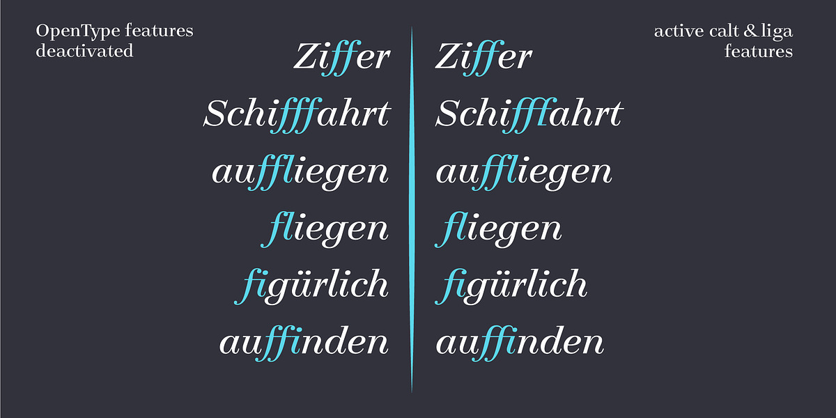 Legit Didone, a Serif Font by Finaltype (Photo 5 of 13)