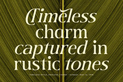 Twilight Vintage Modern Serif, a Serif Font by timelesstype.co (Thumbnail 8 of 20)