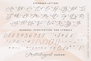 Adore Theory Modern Wedding Font, a Script Font by Mila Garret (Thumbnail 8 of 10)