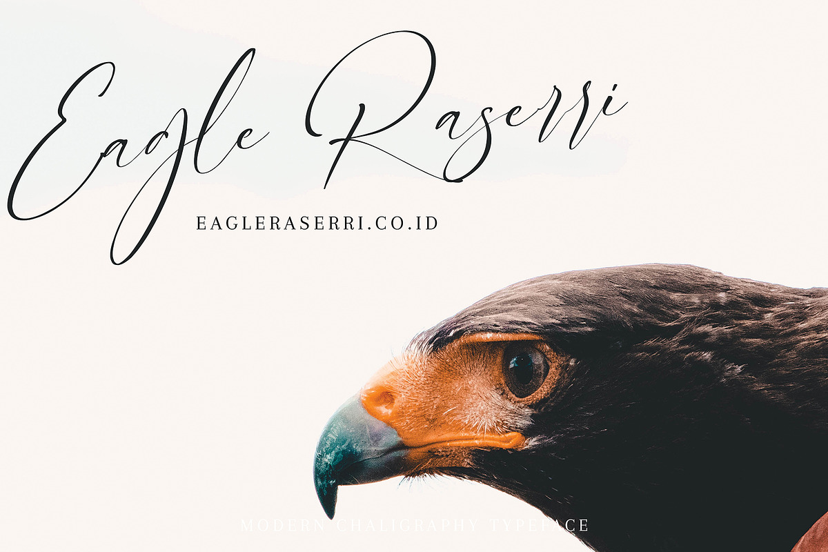 Alberto, a Script Font by pineungtype (Photo 5 of 8)