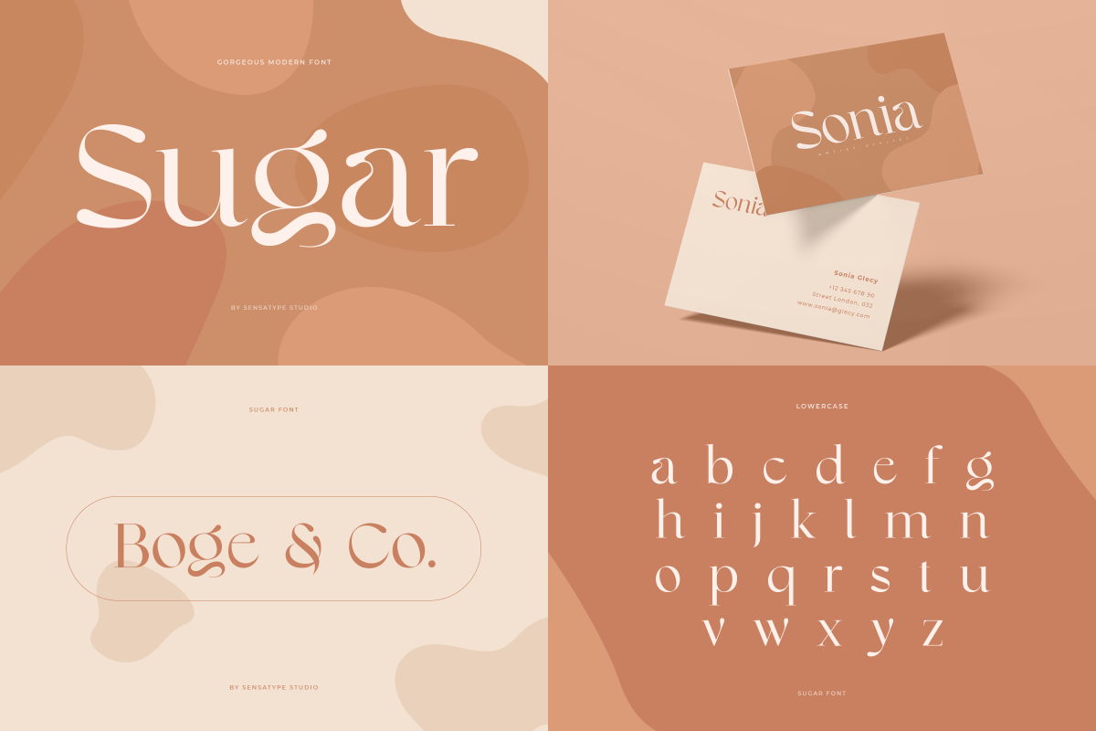 Unique Branding Modern Font Bundle, a Serif Font by Sensatype (Photo 9 of 13)