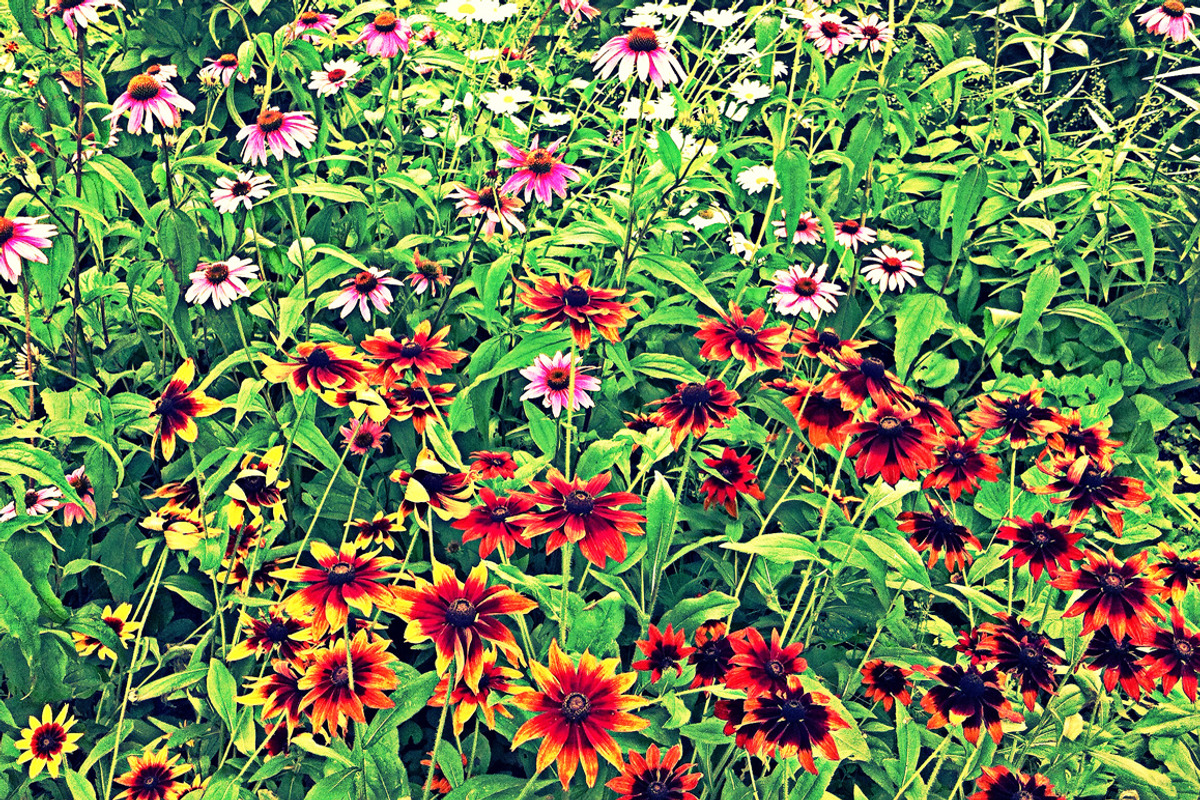 Bright Flowers Texture, a Texture Graphic by RM Photos and Art (Photo 2 of 2)