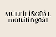 Caelvin – Modern Editorial Serif, a Serif Font by Muksal Creative (Thumbnail 10 of 10)