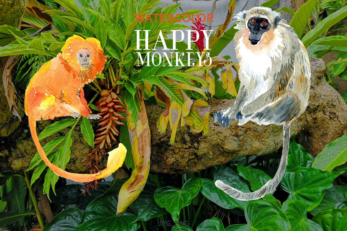 Watercolor Happy Monkeys, an Animal Illustration by Anastasia (Photo 4 of 13)