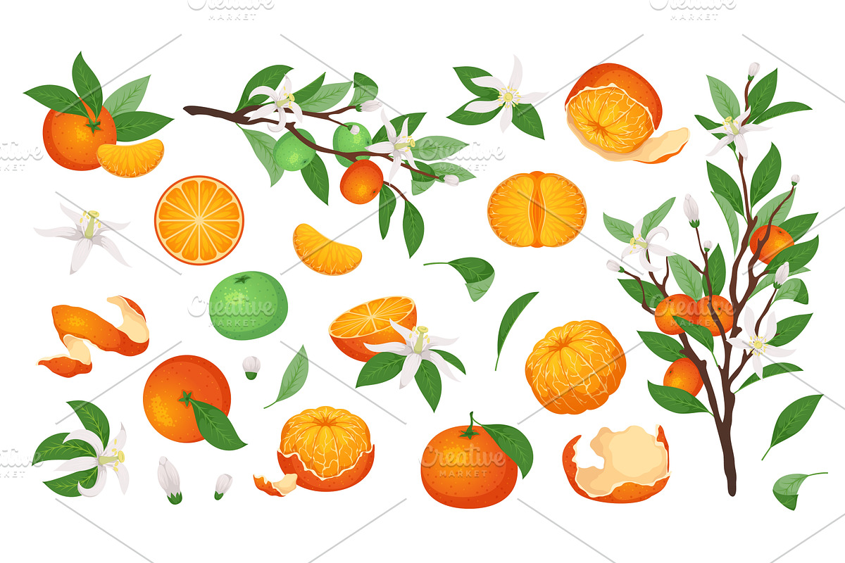 Cartoon mandarin fruit. Fresh juicy, a Food Illustration by YummyBuum