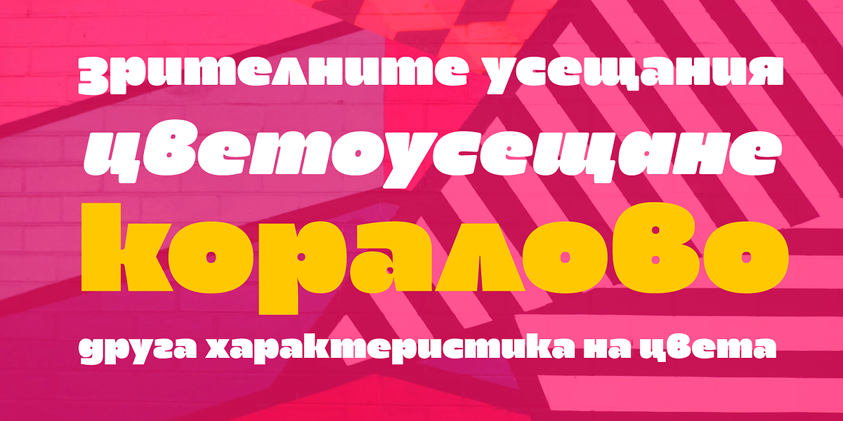 Maver, a Sans Serif Font by Ani Dimitrova (Photo 9 of 15)