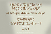 Ronald Flick - Handwritten Font, a Script Font by StringLabs (Thumbnail 7 of 7)