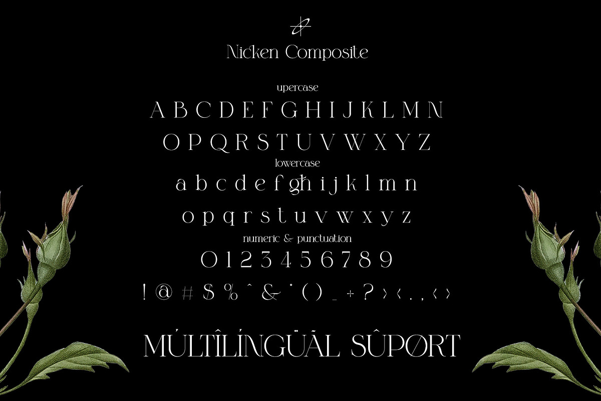 Nicken Modern Serif Typeface, a Serif Font by Alfinart (Photo 6 of 10)
