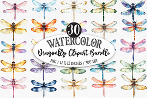 Dragonfly Clipart Bundle, an Illustration by Designking