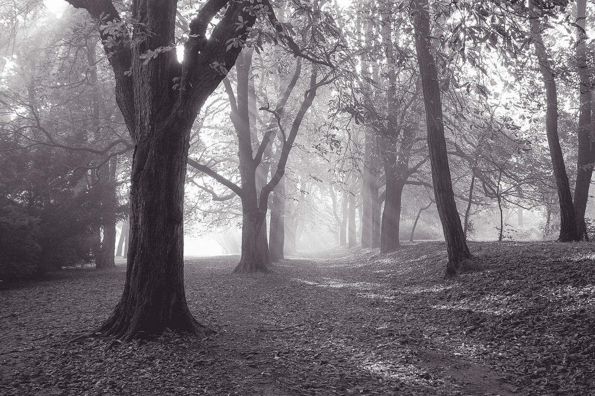 10 Matte B & W Landscape Drama, a Preset Add-On by Timeless Presets (Photo 17 of 17)