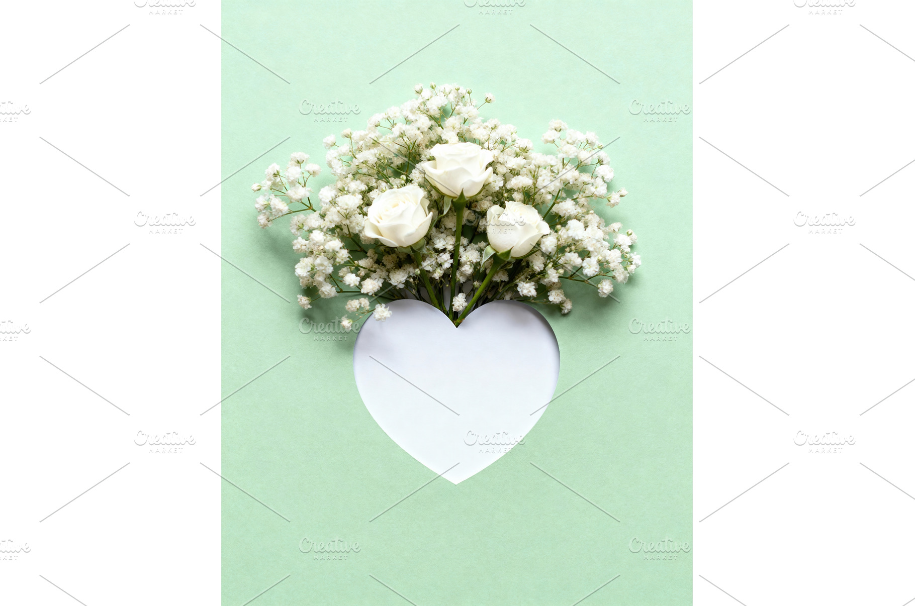 White roses and baby's breath, a Beauty & Fashion Photo by tilialucida