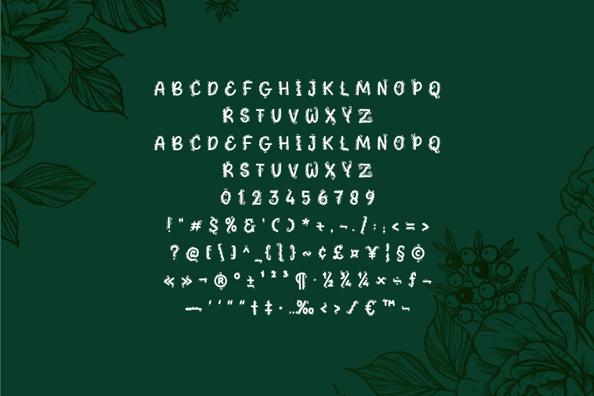 Deconator - Decorative Font, a Handwritten Font by Mightyfire (Photo 4 of 4)
