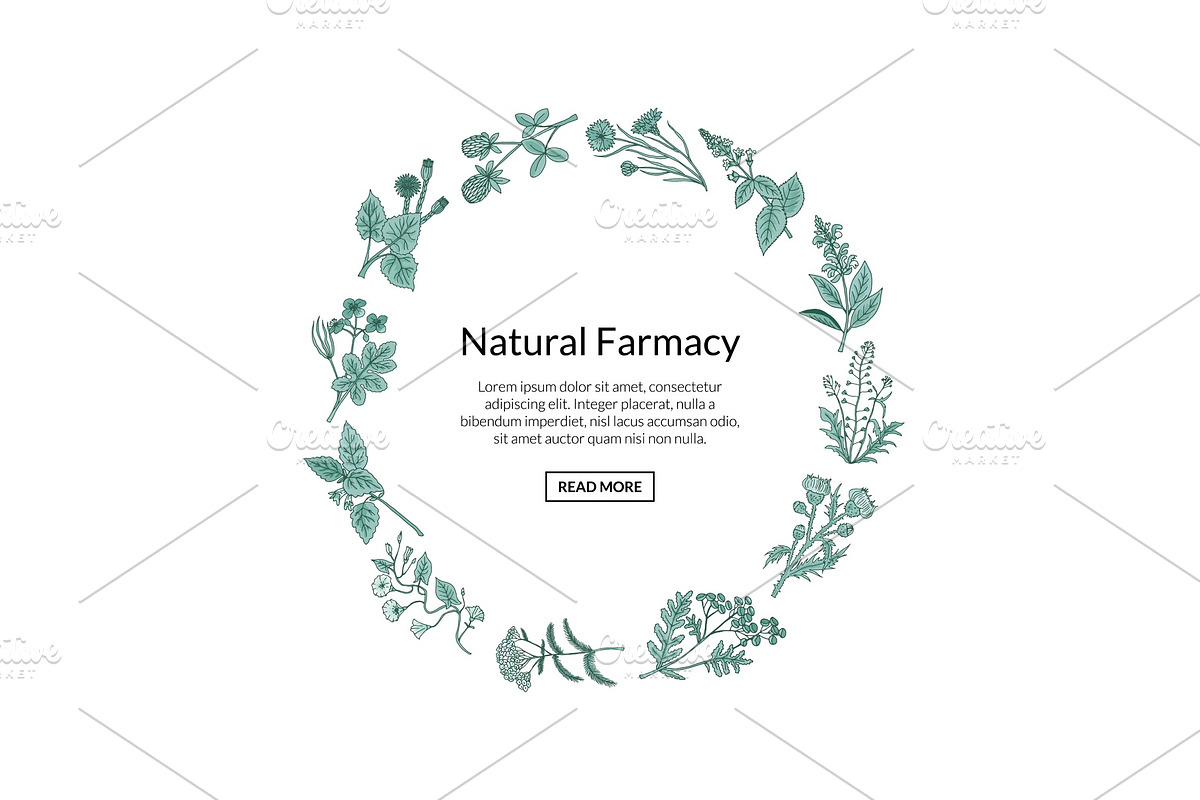 Vector hand drawn medical herbs, a Background Graphic by Onyx ...
