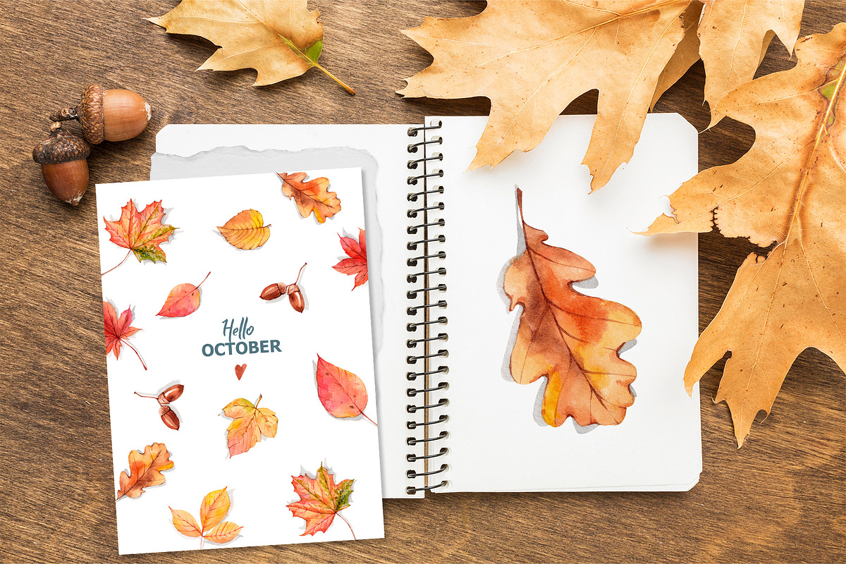 Autumn leaves. Watercolor clipart, an Illustration by VerAna (Photo 4 of 8)