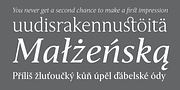 Haggard Nova, a Serif Font by TipografiaRamis (Thumbnail 7 of 9)
