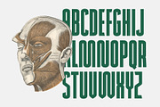NEWCAPS - Bold Condensed Headline, a Sans Serif Font by Enxyclo Studio (Thumbnail 7 of 11)
