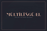 Troye Font Trio - Clean & Luxury, a Serif Font by Craft Supply Co. (Thumbnail 22 of 28)