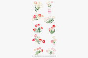 watercolor clipart tulip set, a Decorative Illustration by Patishop Art (Thumbnail 10 of 11)