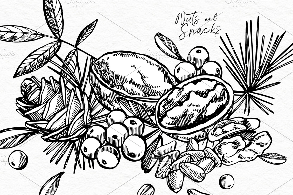 Nuts and snacks, a Food Illustration by Ann Astro (Photo 23 of 24)