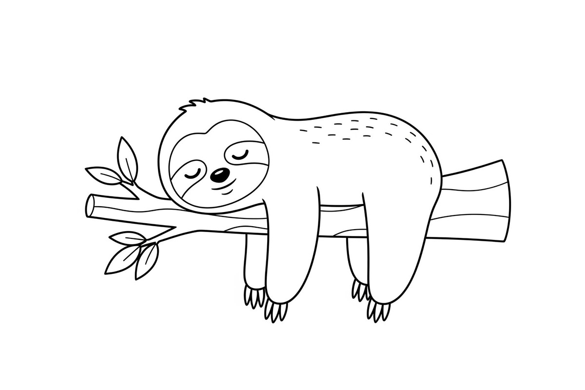 Cute Sloth Line Art Bundle, an Illustration by musafir_fashion (Photo 17 of 51)