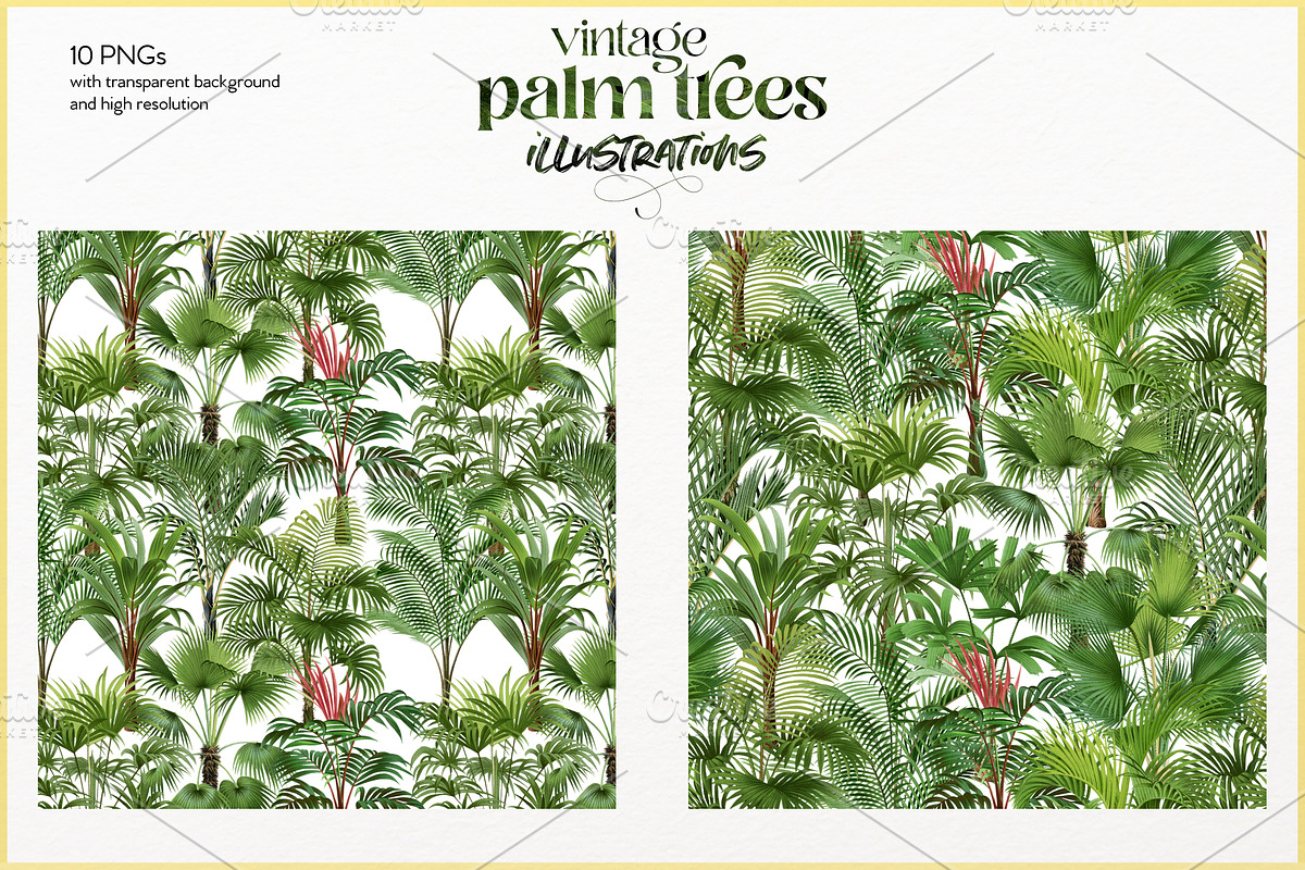 Vintage palm tree illustrations, a Decorative Illustration by Natalka Dmitrova art (Photo 6 of 8)