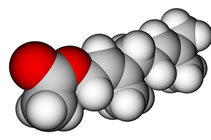 Geranyl acetate, a compound with fru, an Illustration by Leonid Andronov