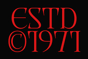 CS Alarix – Serif Display Font, a Serif Font by Craft Supply Co. (Thumbnail 3 of 8)