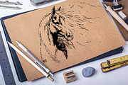 Hand drawn horse collection, vector, an Animal Illustration by AnastasiyaOleynik (Thumbnail 2 of 11)