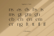 Blasing Aesthetic Serif Font, a Serif Font by Alfinart (Thumbnail 7 of 10)