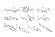 Breeds Shark Handdrawn Vol 2, an Animal Illustration by SLAB! Design (Thumbnail 2 of 3)