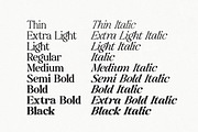 Baskerville Display Pro, a Serif Font by Positive TypeFoundry (Thumbnail 4 of 23)