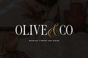 Monique Display Duo Font | Logo Font, a Serif Font by Calamar Studio (Thumbnail 10 of 18)