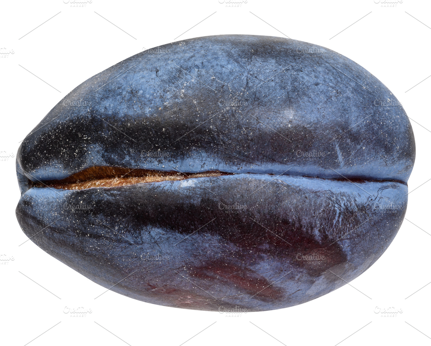 A ripe blue plum with a waxy bloom and textured skin, a Food & Drink Photo by ndanko