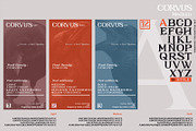 CORVUS Serif font, a Serif Font by Artistic & Unique (Thumbnail 4 of 15)