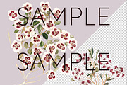 Fragonia Australian Floral Clipart, a Decorative Illustration by Pawcasso's Portraits (Thumbnail 6 of 6)