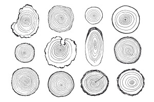 Tree Rings