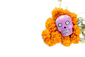 Cempazuchitl flowers and Mexican skull for the day of the dead i