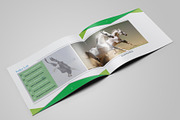 Wild Animals, a Magazine Template by Graphic_Art (Thumbnail 3 of 4)