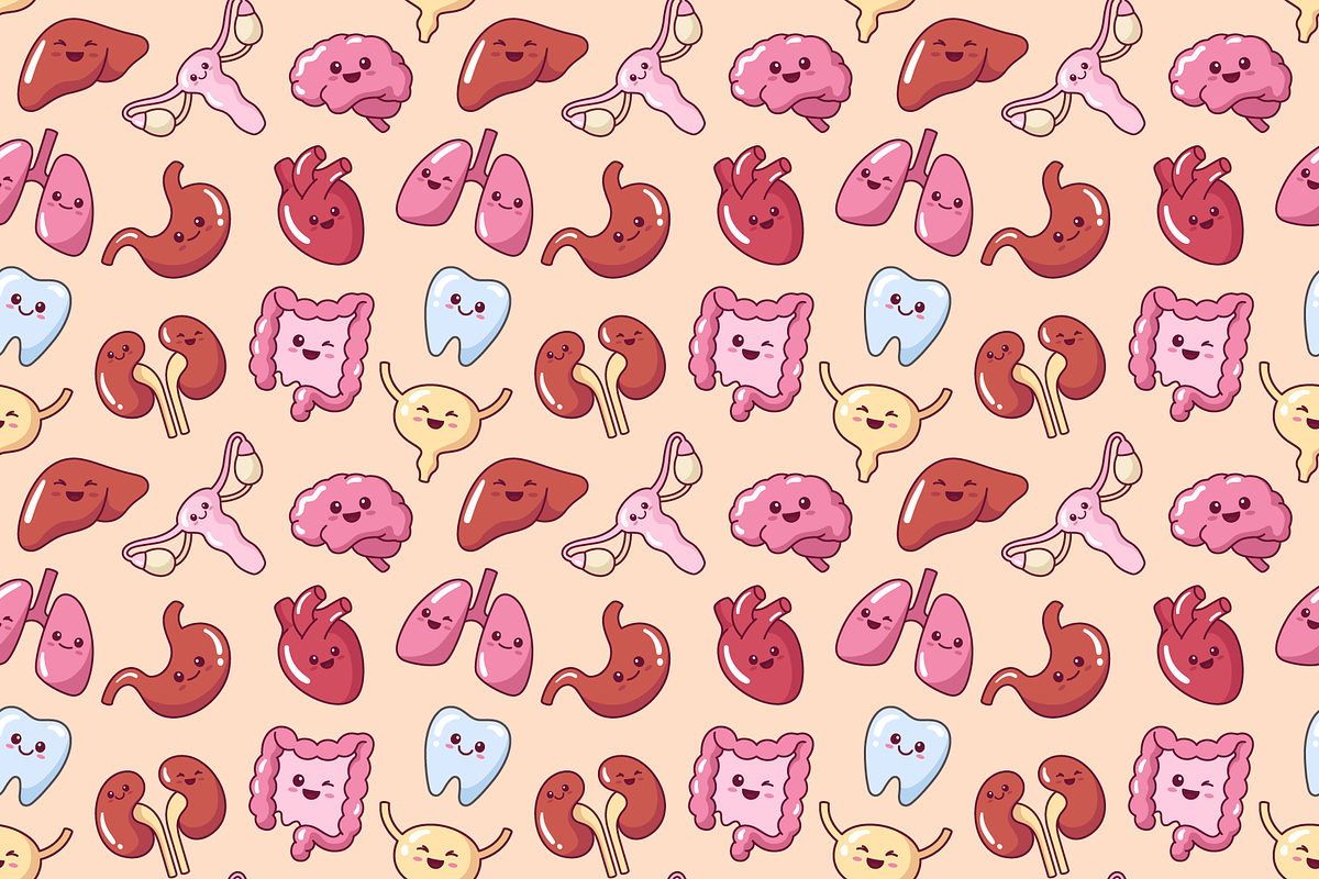 Cute kawaii internal organs pattern, an Illustration by Cmeree (Photo 2 of 2)