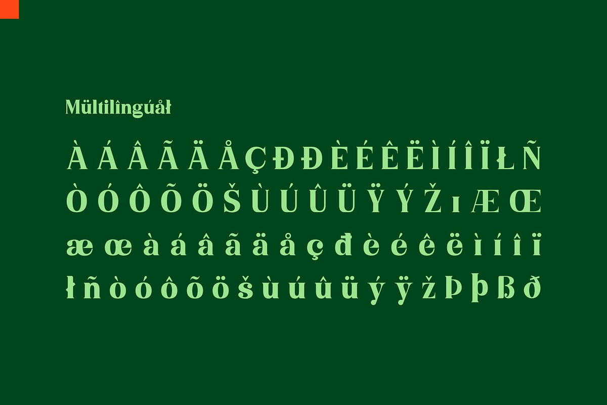 Niecher-Serif Display, a Serif Font by takoliko (Photo 13 of 13)