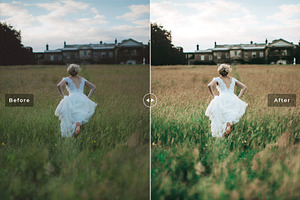 Analog Film Pro Lightroom Presets