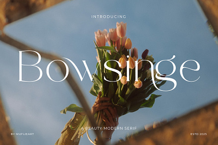 Bowsinge - A Beauty Modern Serif