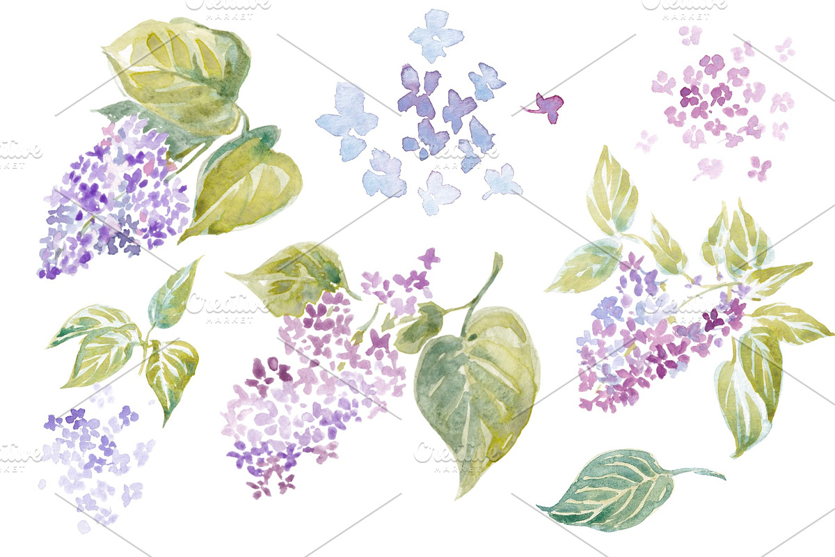 Watercolor Lilac set 600 DPI, a Decorative Illustration by byJuliaKors (Photo 2 of 3)