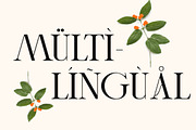 Cheqa a Luxury & Elegant Serif, a Serif Font by Lettertype Studio (Thumbnail 13 of 15)