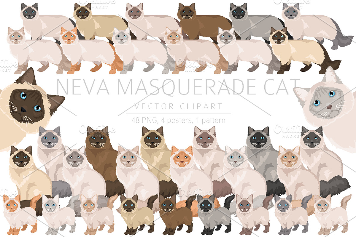 Neva Masquerade cat, an Animal Illustration by pet design shop (Photo 1 of 6)