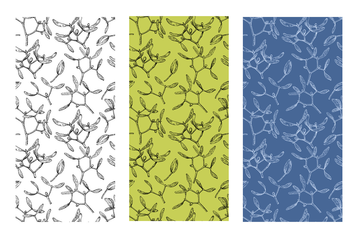 Winter botanical patterns, a Seasonal Illustration by Robusta (Photo 7 of 8)