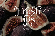 Paris Avenue - Modern Display Serif, a Serif Font by Prioritype Co (Thumbnail 9 of 9)